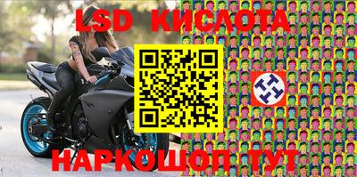 эйфоретик Донской